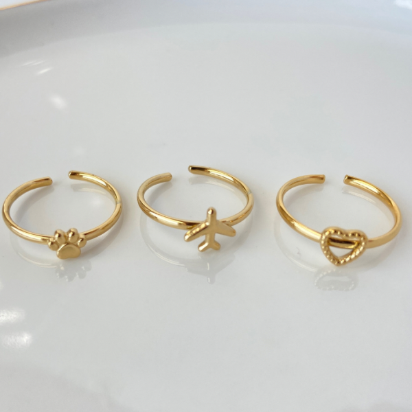 Manifestation Rings