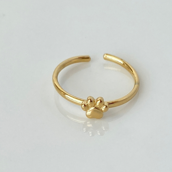 Manifestation Rings