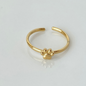 Manifestation Rings