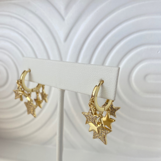 Dakota Earring