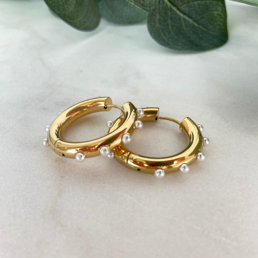 Dayana Hoops